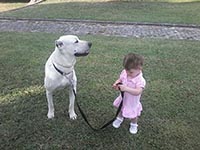dog and kid